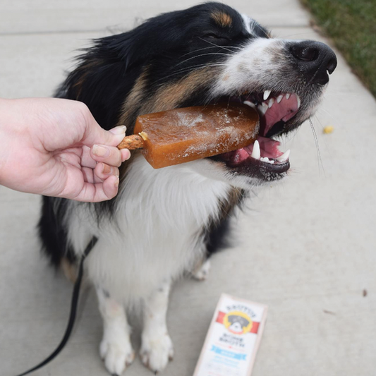 Dog eating a pupsicle