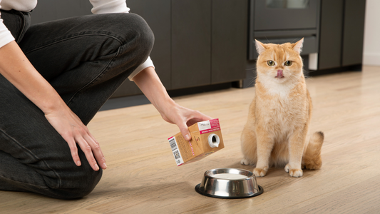 How Brutus Bone Broth Products Can Help Hydrate Your Cat