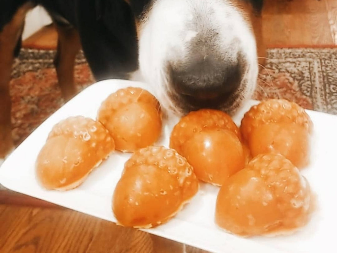 Pumpkin and Brutus Bone Broth acorns