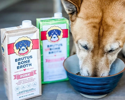 Dog eating from bowl with Pork Broth and Salmon Broth next to it