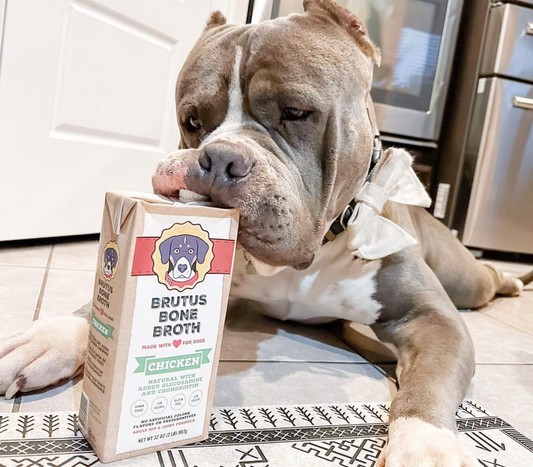 Dog with a box of Brutus Broth - Chicken