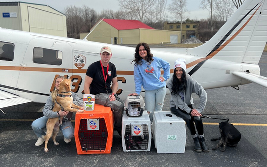 Pilots To The Rescue team standing in front of an airplane with crates and dogs