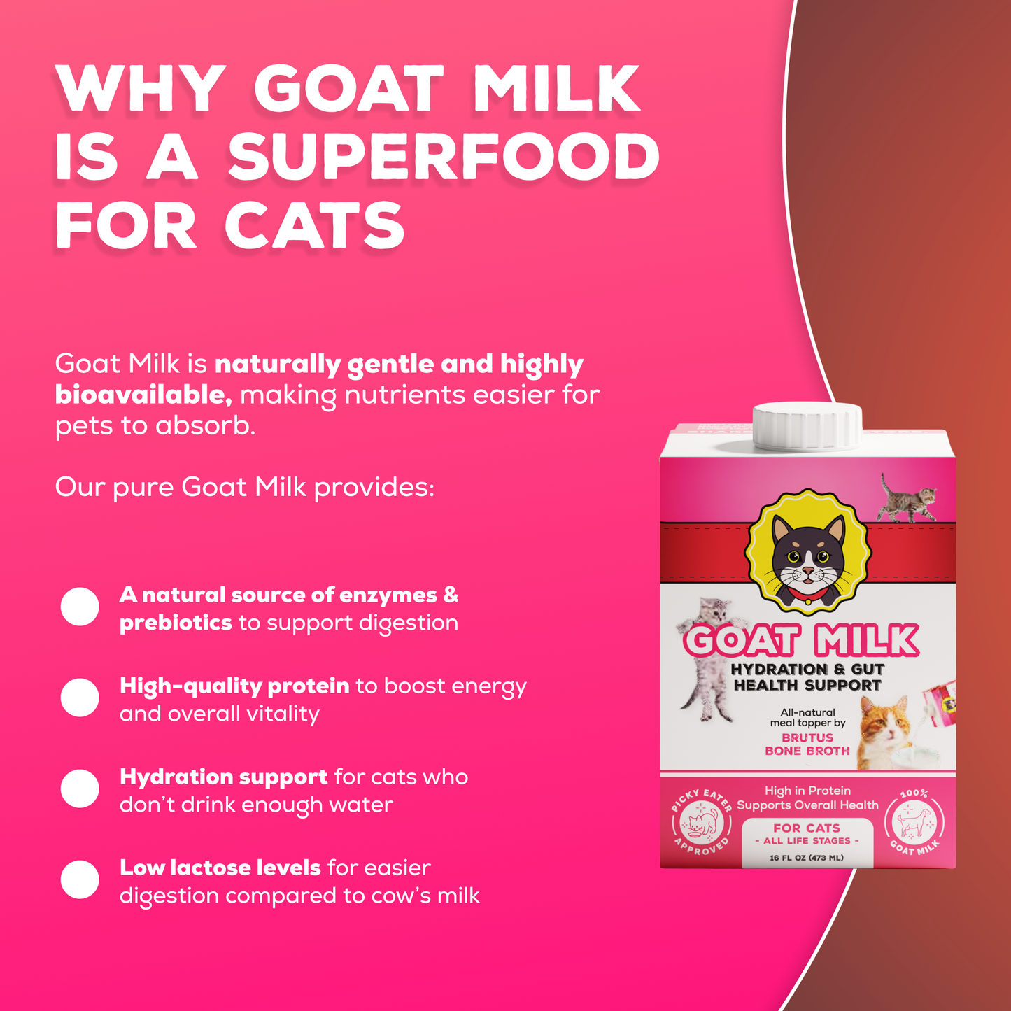 Infographic showing goat milk benefits for cats: gentle, bioavailable, aids digestion, high-protein, hydrates, low lactose