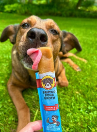 a brown and black dog licks a Turkey Flavor Brutus Bone Brothcicle