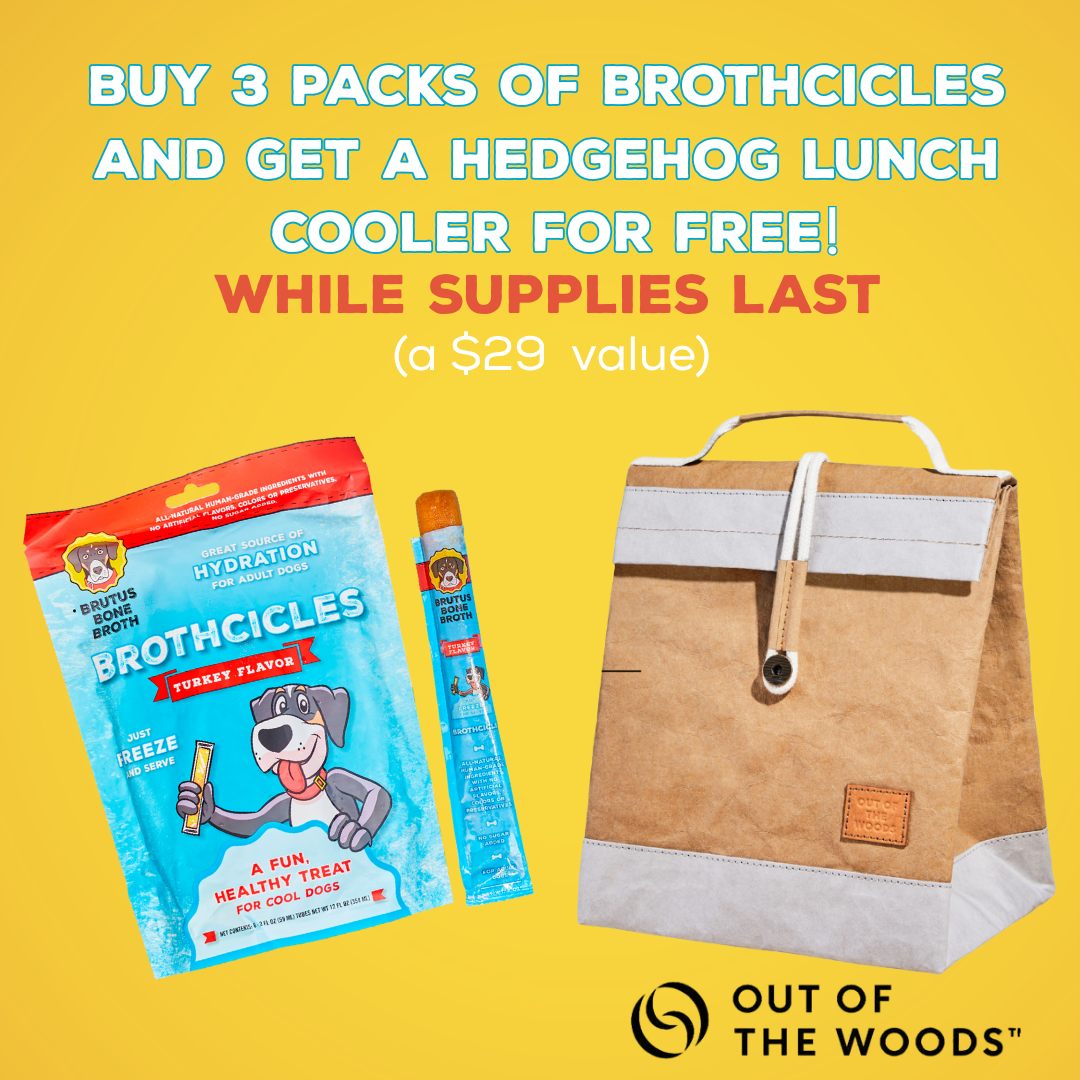 Promotional offer for Brutus Brothcicles and a lunch cooler on a yellow background.