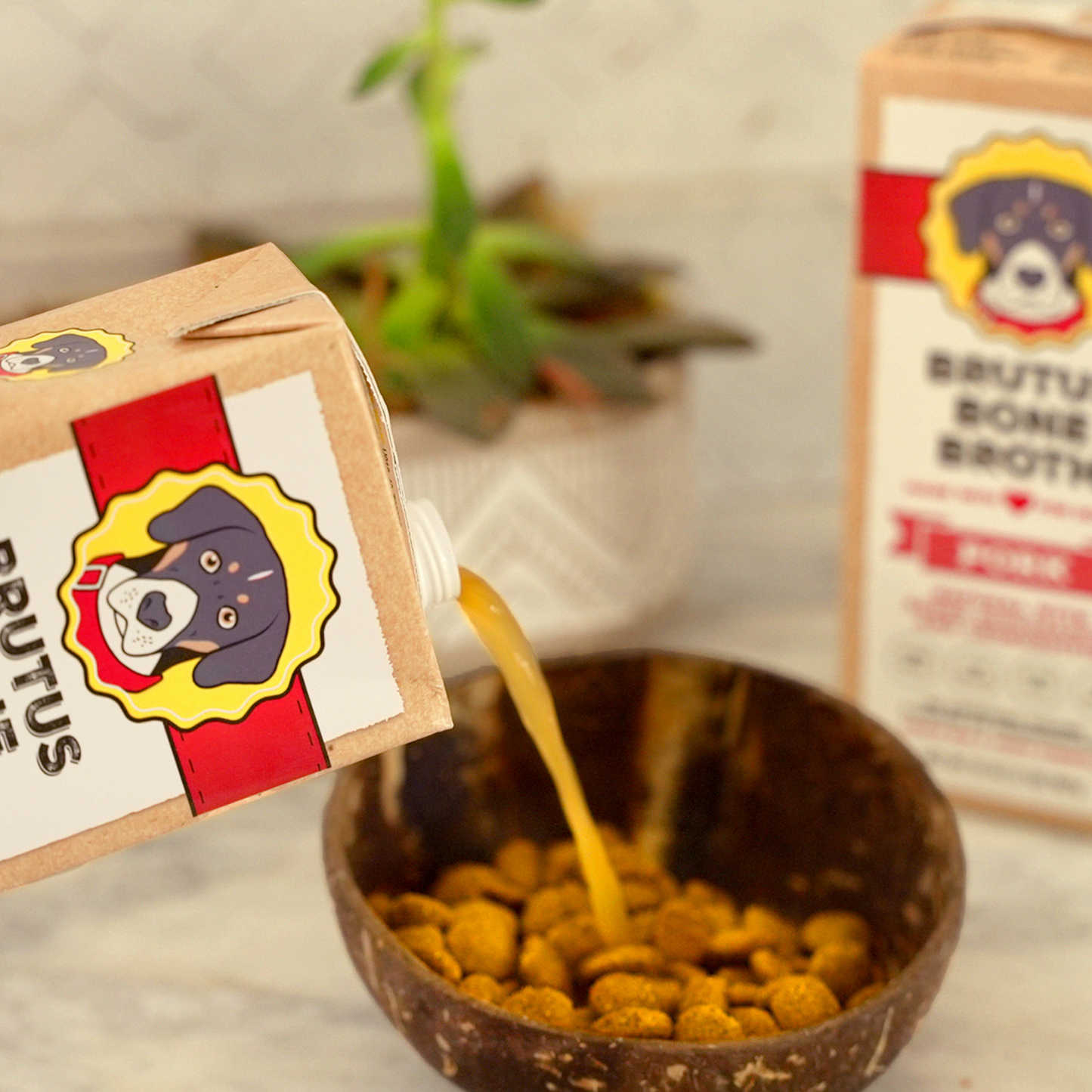 Pork Bone Broth being poured into a bowl of kibble