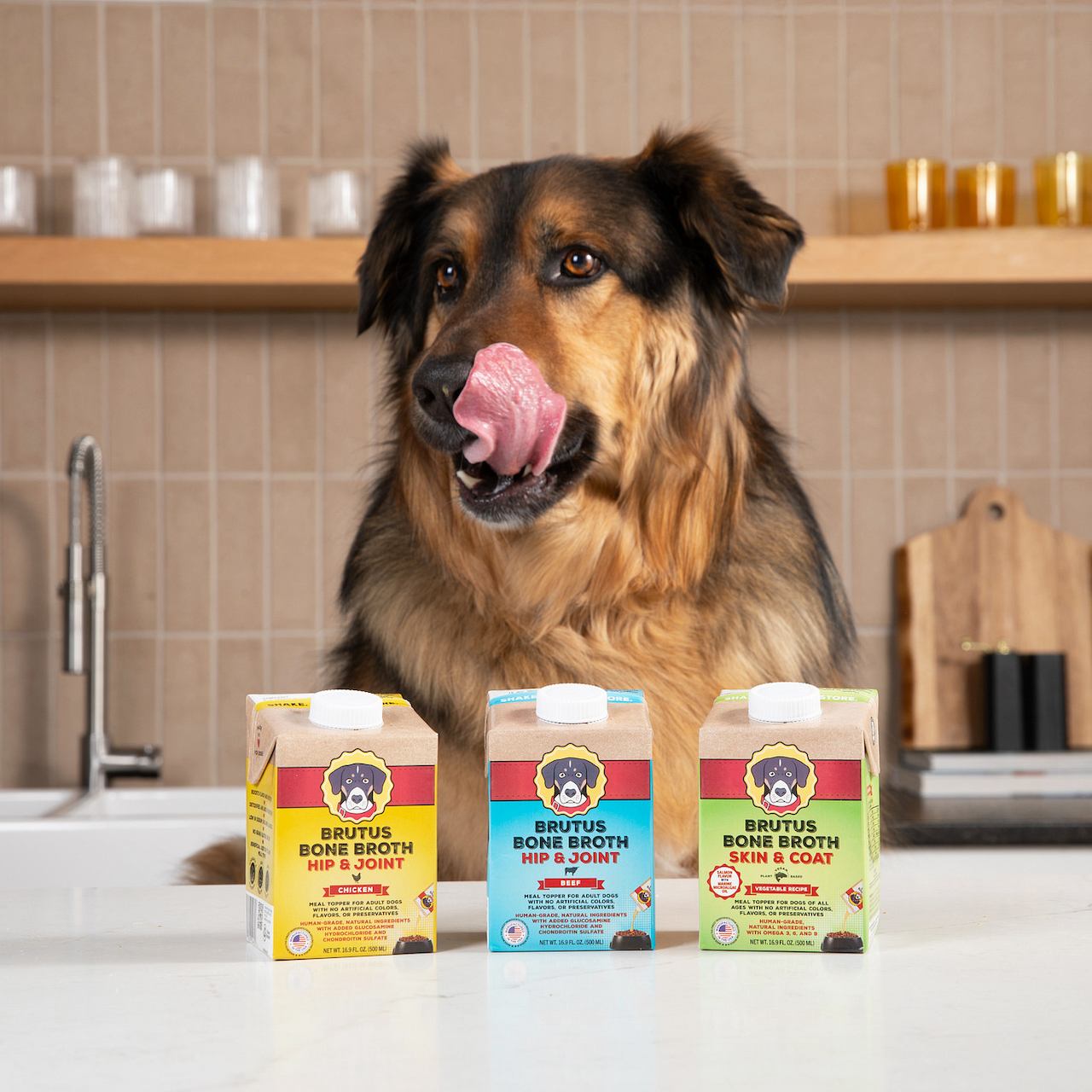 A Black and Brown German Shepard Dog licks his lips in front of Brutus Bone Broth Chicken, Beef, and Vegetable Flavor
