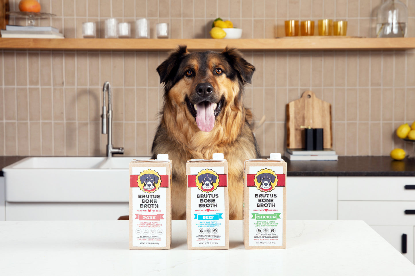 A Black and Brown German Shepard Dog smiles with his tongue out in front of Brutus Bone Broth Chicken, Beef, and Vegetable Flavor