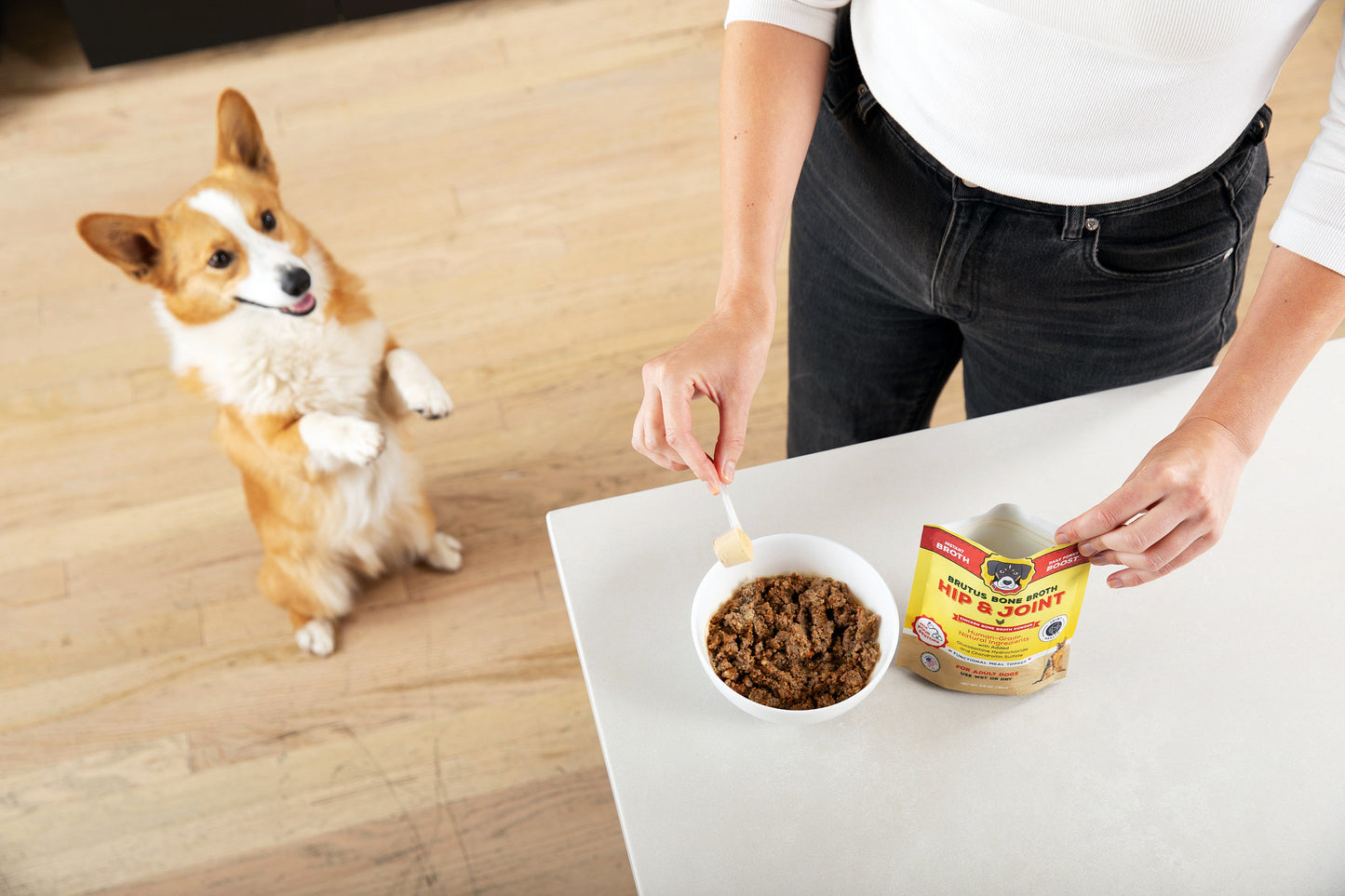 A Corgi stands on his back legs excited as a human pours Brutus Bone Broth Chicken Meal topper onto his dog food