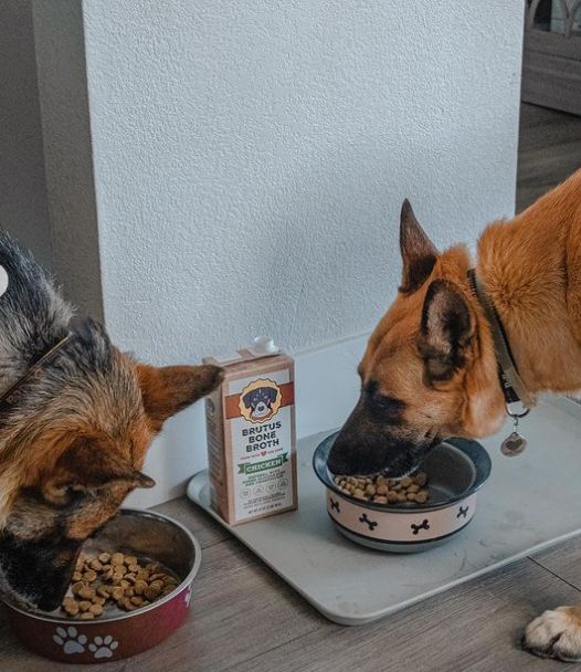 Two dogs eating kibble with a box of Chicken Brutus Bone Broth sitting in between