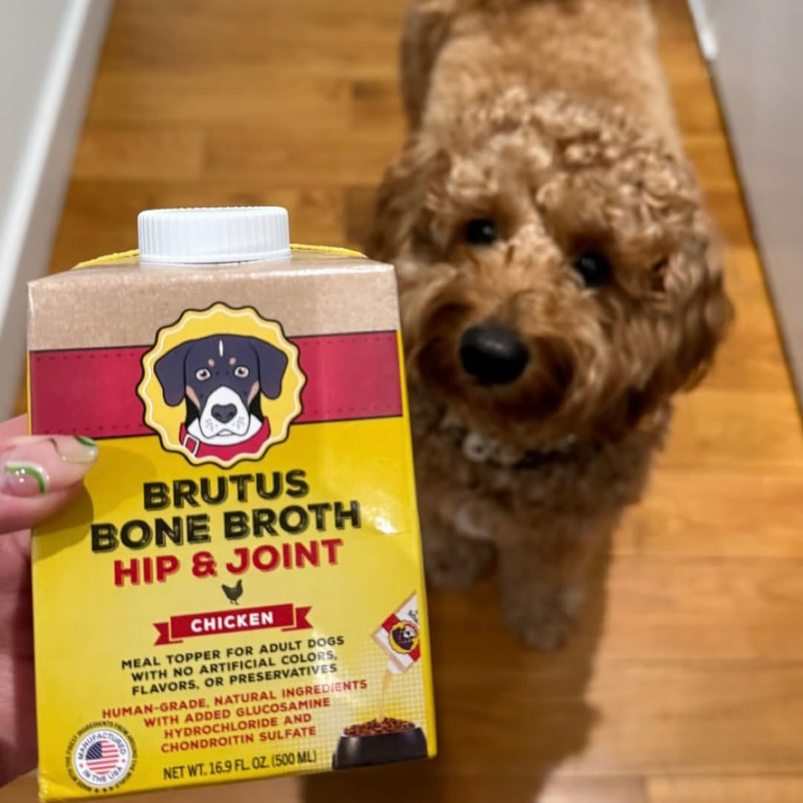 Wholesale Mini Hip & Joint Formula - Chicken Bone Broth (Case of 6)