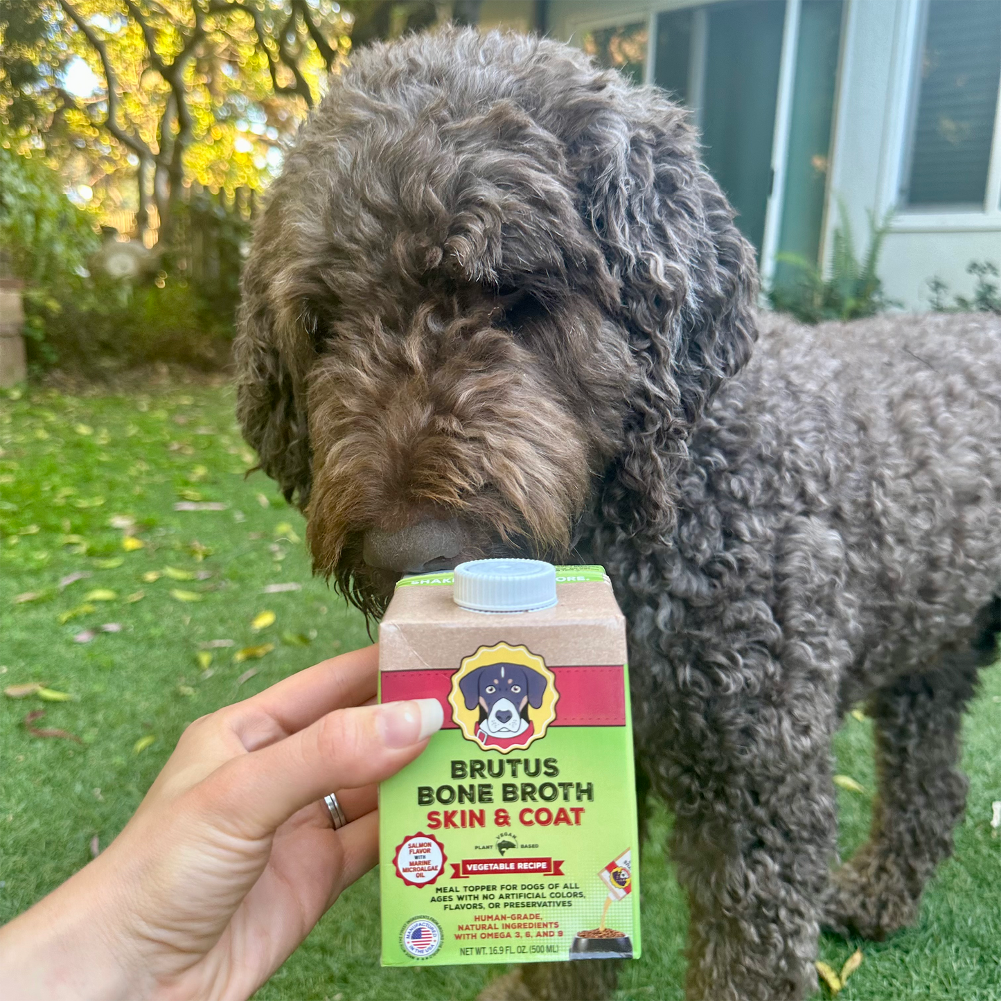 Wholesale Mini Skin & Coat Formula - Vegetable Broth (Case of 6)