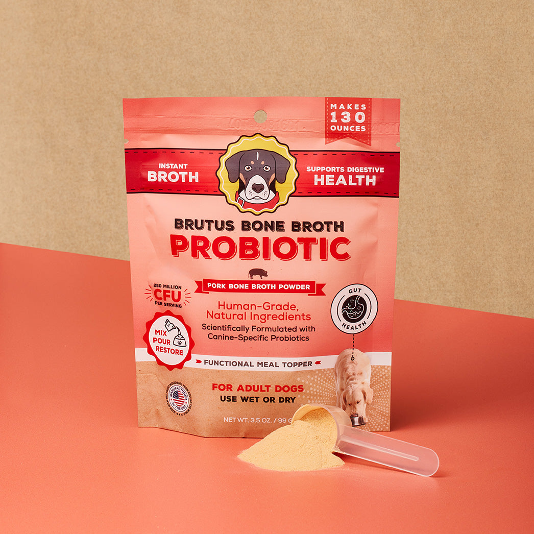 Brutus Bone Broth Probiotic Pork Bone Broth Powder with scoop in front