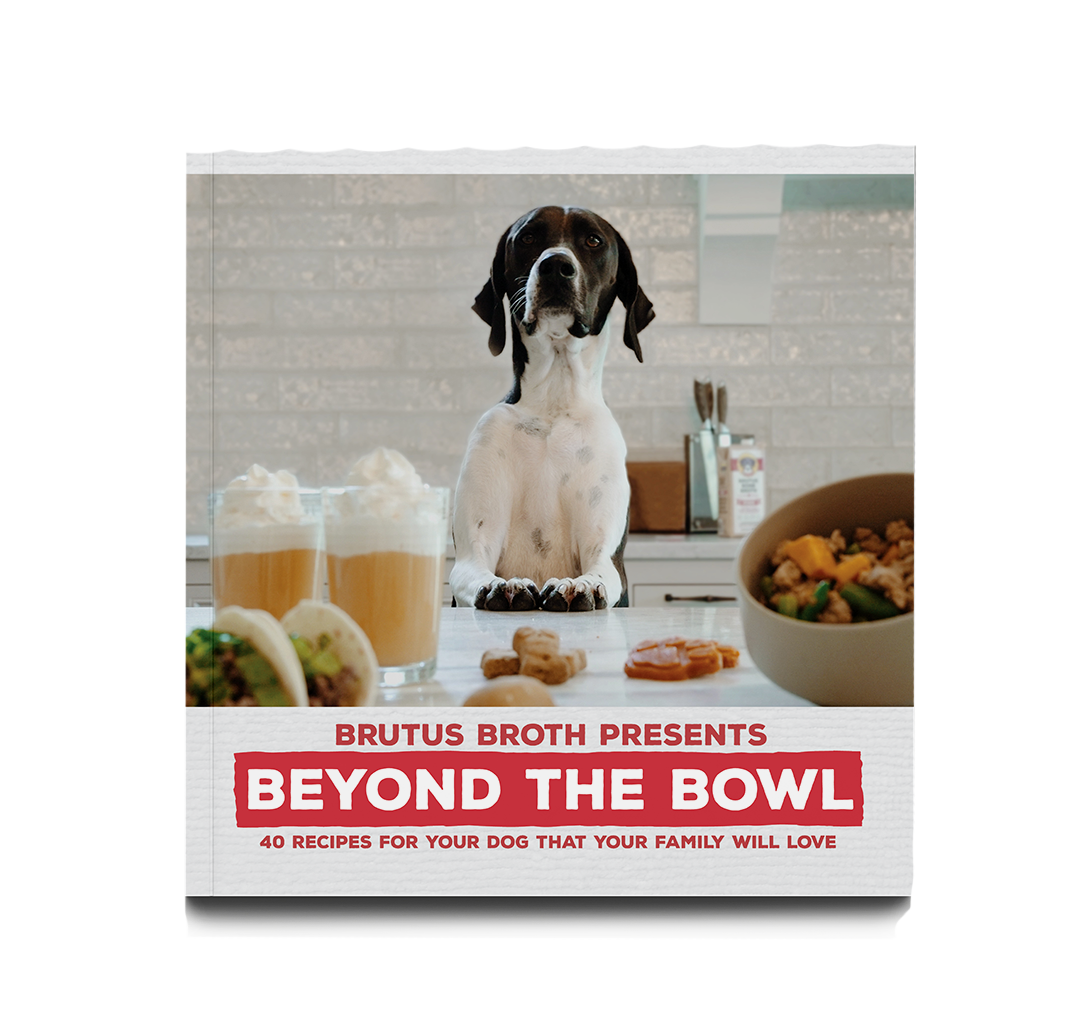 Brutus Broth presents: BEYOND THE BOWL
