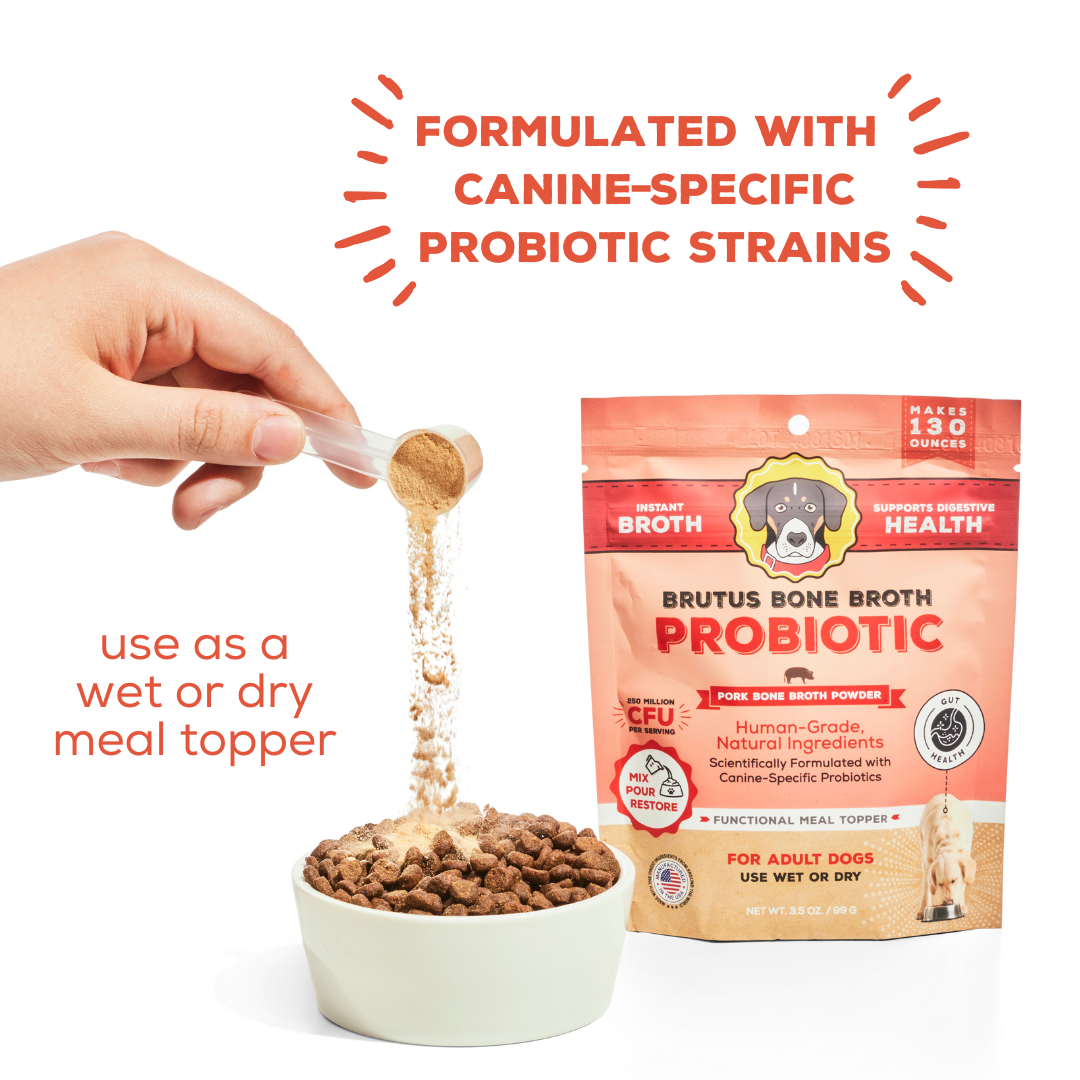 Pouring Brutus Bone Broth Probiotic Pork Bone Broth Powder on kibble