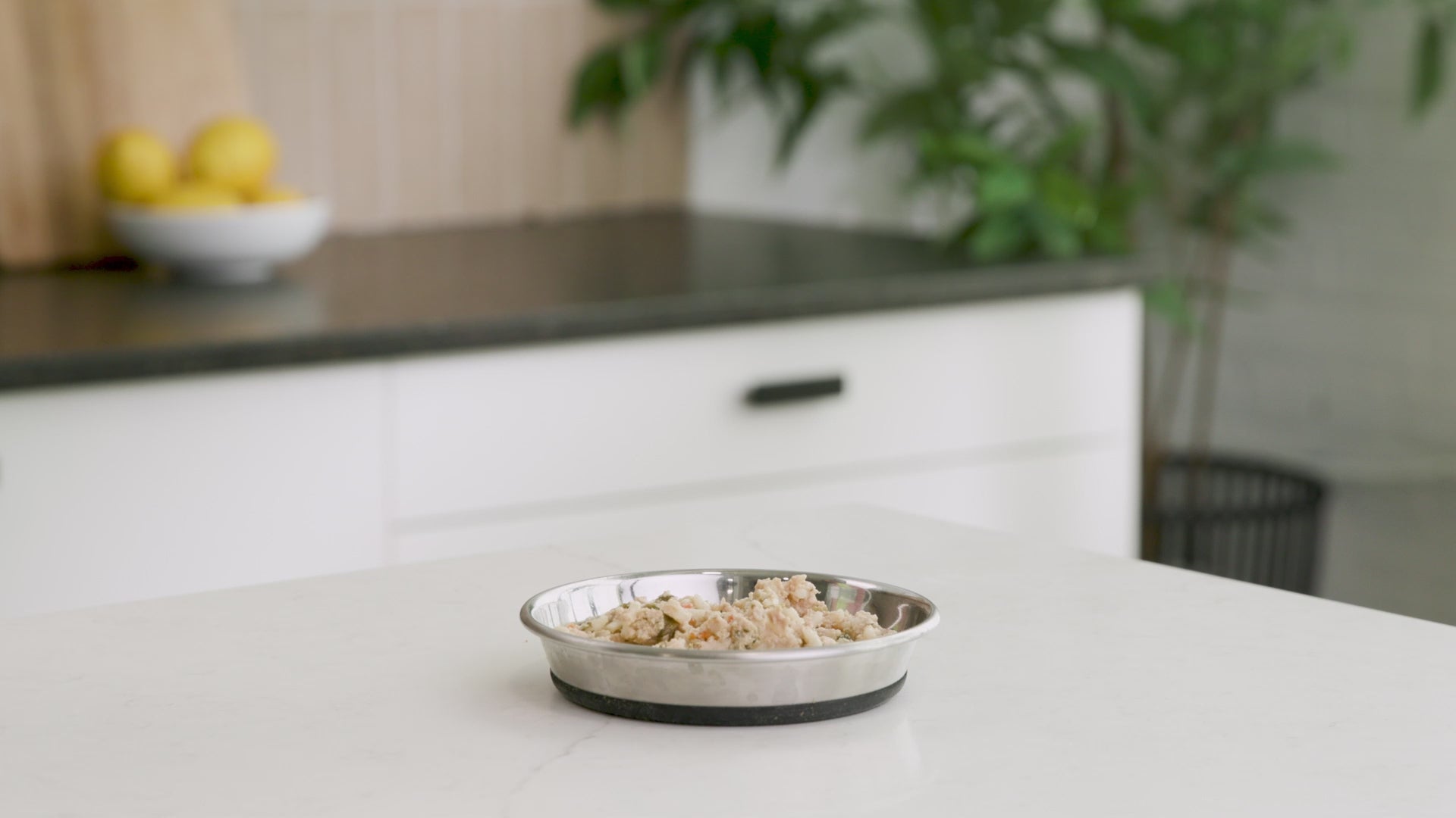 A human pours Brutus Bone Broth Skin and Coat Vegetable Mini into a bowl of kibbel.