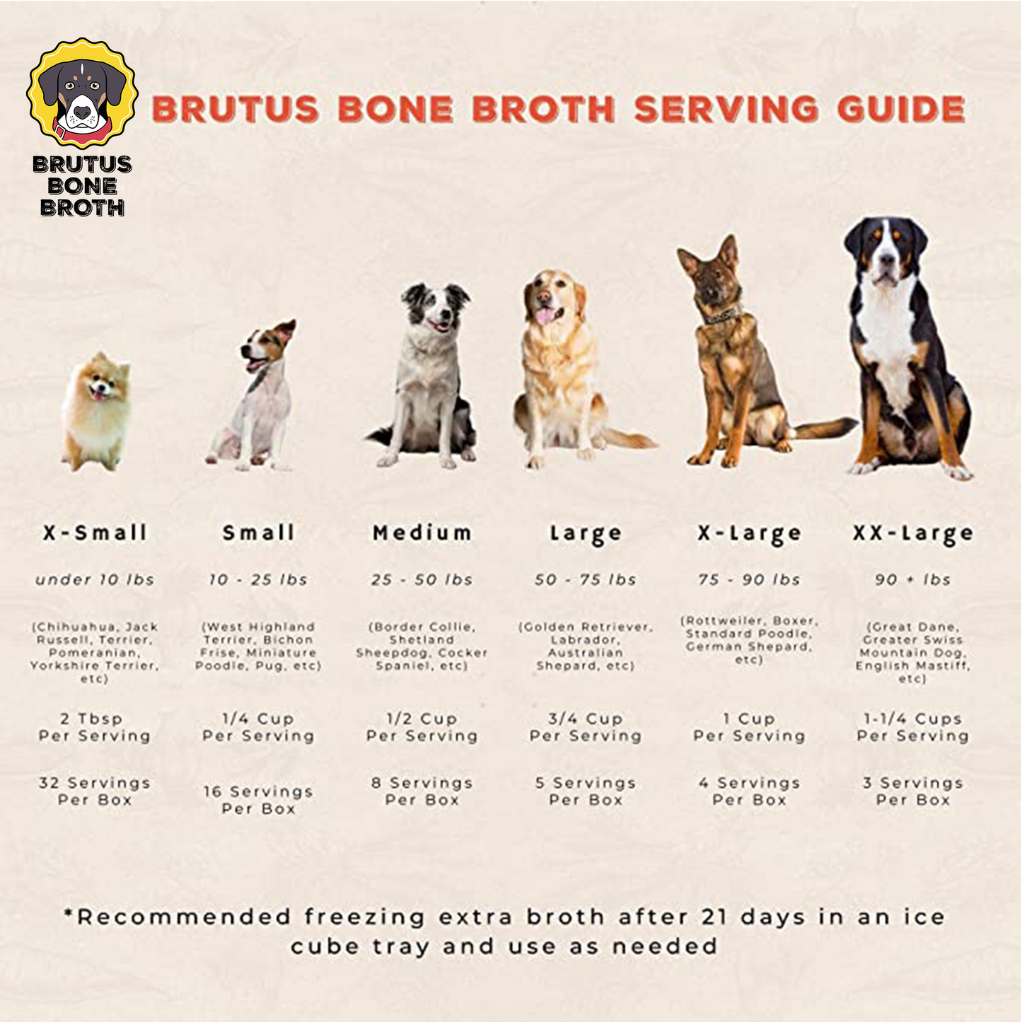 Brutus Bone Broth - Beef