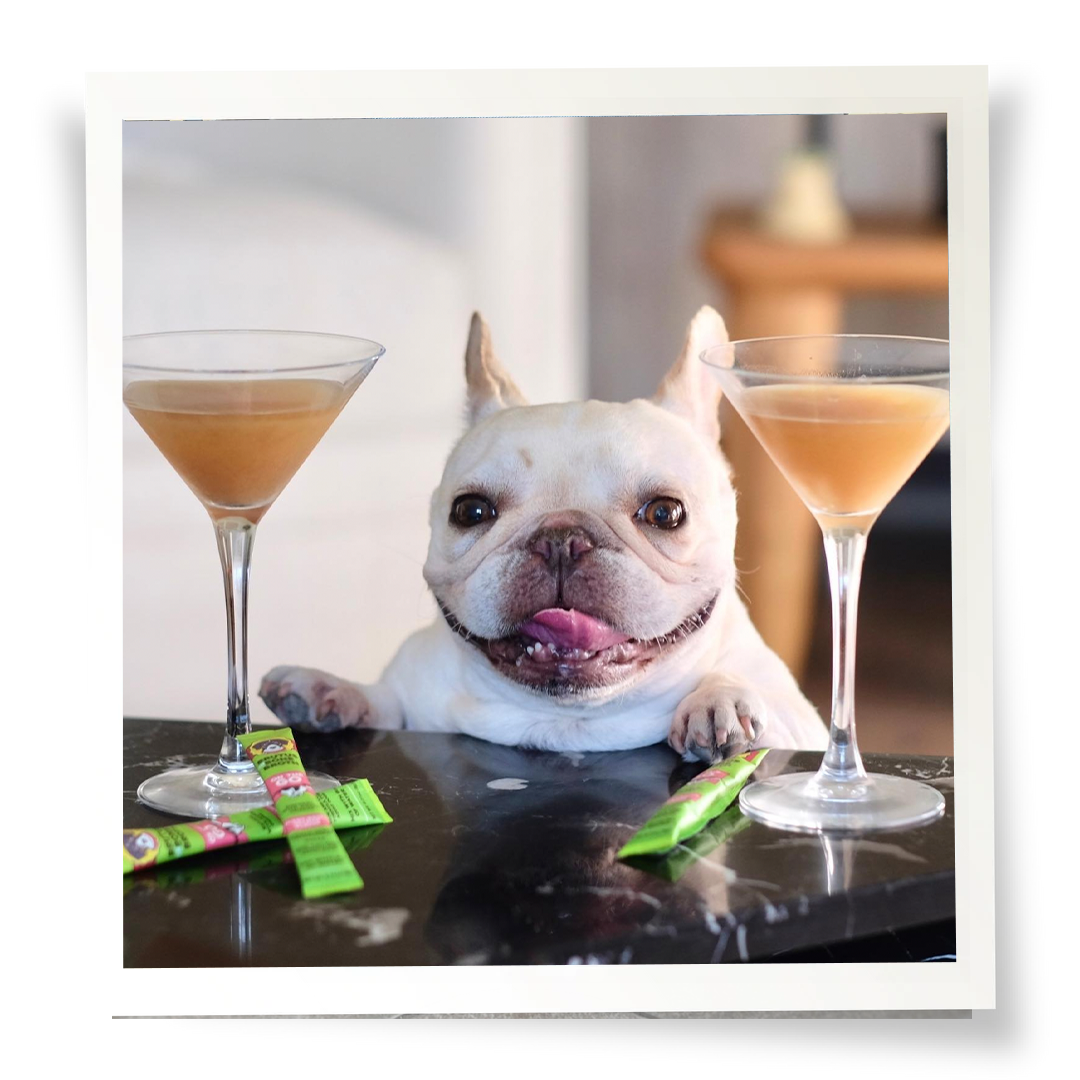 Framed white dog with a martini glass on both sides filled with Vegetable Salmon-Flavored Brutus Un-Bone Broth and 3 sticks on the counter