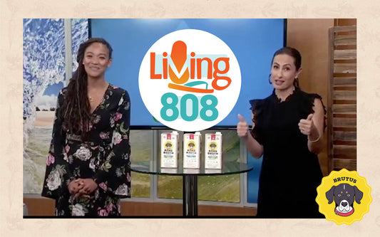 Living 808 hosts present three cartons of dog bone broth, BRUTUS badge visible lower-right.