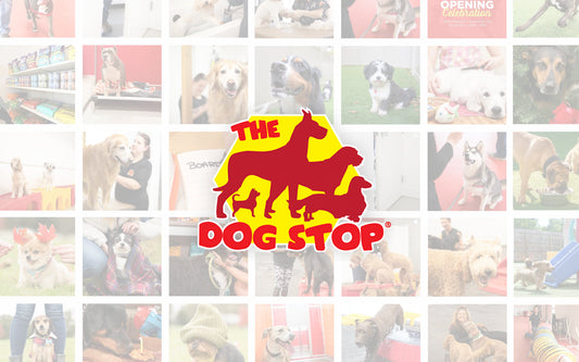 The Dog Stop logo