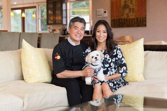 Couple sitting on a sofa holding a small white dog in a sunlit living room