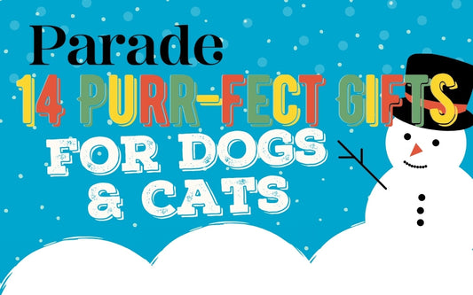 Parade 14 PURR-FECT GIFTS FOR DOGS & CATS, colorful headline with a snowman on blue background