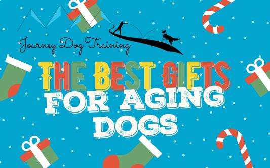 Holiday banner: Journey Dog Training — THE BEST GIFTS FOR AGING DOGS, with stocking, candy cane, presents and dog silhouette.