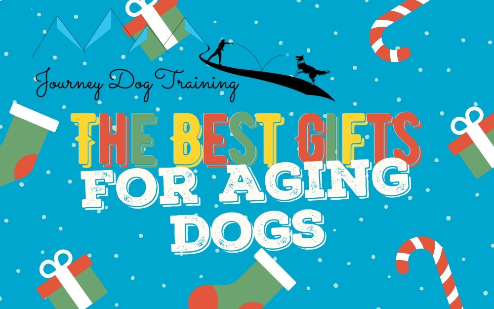 Promotional banner showing headline ‘The Best Gifts for Aging Dogs’, Journey Dog Training logo, and holiday icons (stocking, candy cane, wrapped presents)