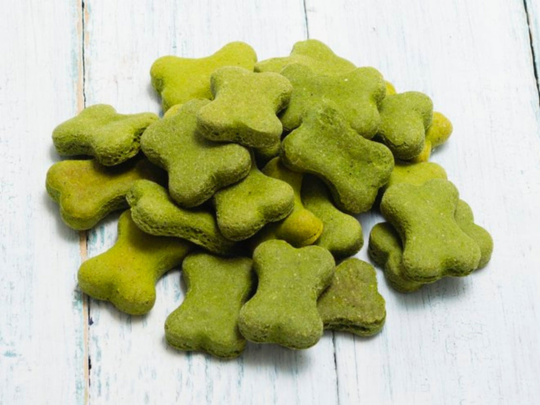 Top-down view of green apple mint mini bone-shaped dog treats on a white wooden surface