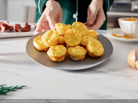 Front view of mini bacon, cheddar, and egg frittata muffins with golden tops on a gray plate, hands placing plate