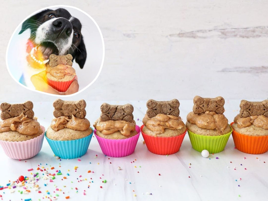 Six pup cupcakes in colorful silicone cups topped with peanut-butter and bone treats; inset dog about to bite one.