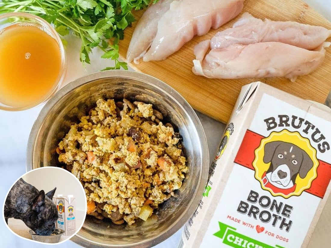 Top-down of a dog meal: metal bowl with blended turkey and veggies, raw chicken on a board, and a Brutus chicken bone broth carton