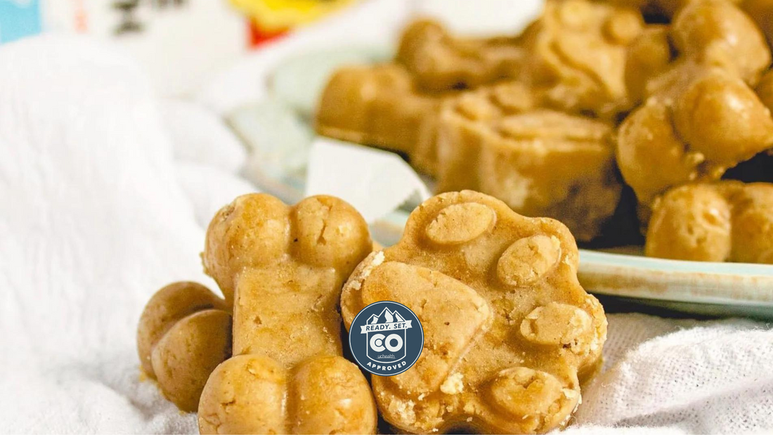 Close-up of peanut butter banana dog treats in paw and bone molds showing creamy texture on cloth and plate with 'READY. SET. GO APPROVED' badge