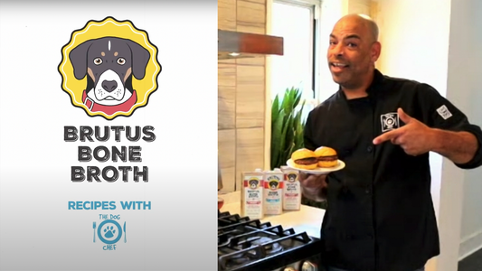 Promotional banner showing Brutus Bone Broth logo and a chef holding two dog-friendly broth sliders in a kitchen