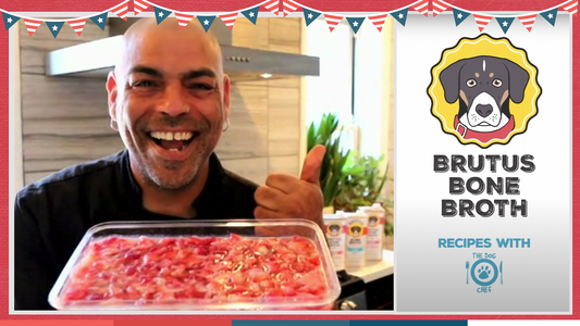 Promotional thumbnail of a smiling chef holding a pan of red-and-white layered jello with Brutus Bone Broth logo and ‘Recipes With The Dog Chef’ text