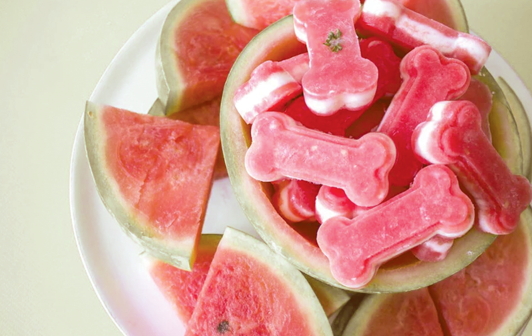 Top view of bone-shaped frozen watermelon treats showing pink-and-white layered centers served in a hollowed watermelon with watermelon slices on a white plate