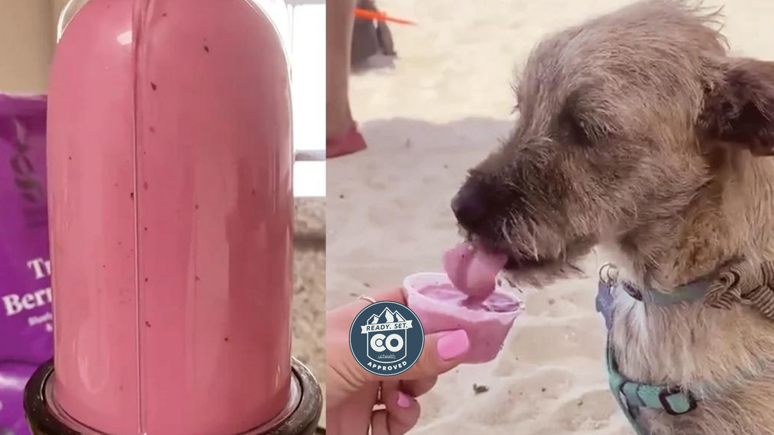 Dog licking pink smoothie from a hand at the beach; badge reads READY SET CO APPROVED uchealth