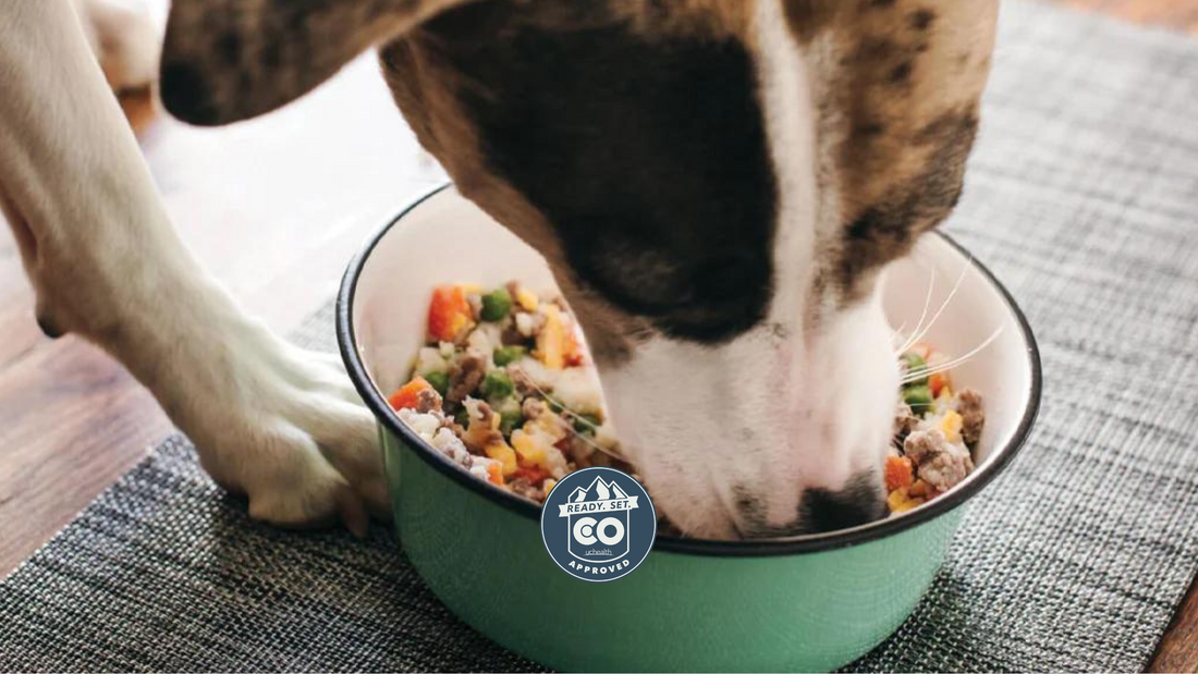 Brindle dog eating shepherd's pie from green bowl; badge on bowl reads 'READY. SET. CO uchealth APPROVED'