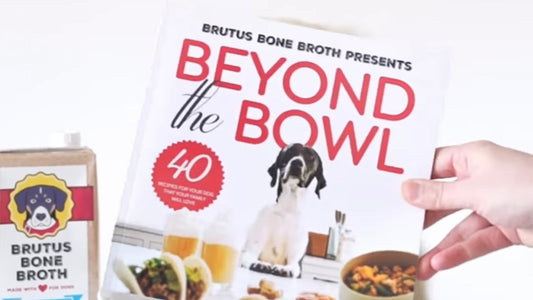 Hand holding front cover of Beyond the Bowl cookbook showing large red headline, dog photo, and Brutus Bone Broth carton on white background