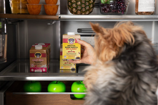 Dog watching a hand pull a Brutus Bone Broth Hip & Joint chicken carton from a refrigerator shelf
