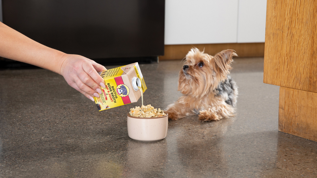 A person pouring Brutus Bone Broth Hip & Joint broth into a small dog bowl on a kitchen floor, while a fluffy Yorkshire Terrier watches eagerly nearby.