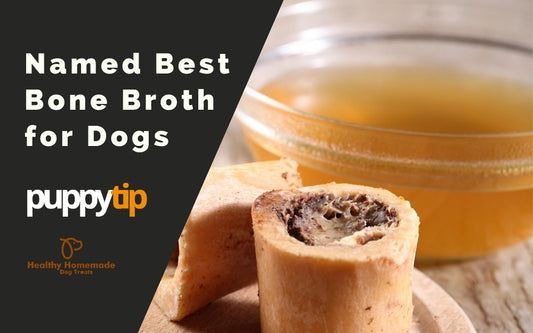 Brutus Broth Ranked #1 Bone Broth for Dogs