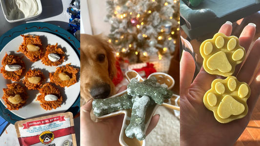 15 Festive Dog Treat Recipes to Try This Holiday Season