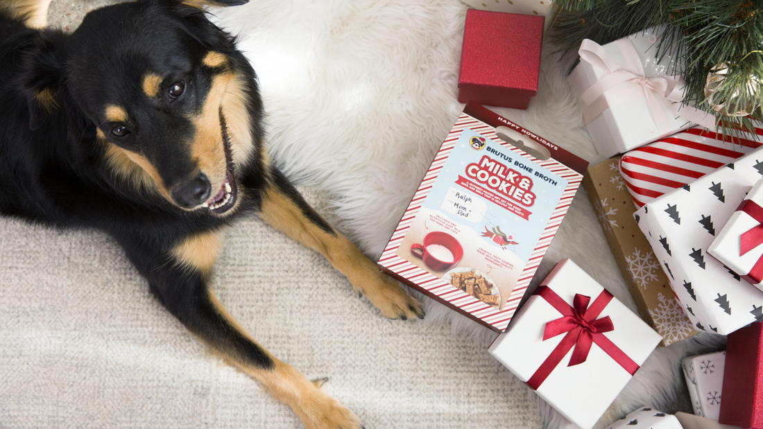 Dog smiling laying down by a chrismas tree next to presents and a box of Milk & Cookies