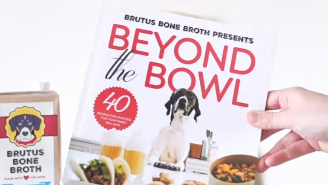 The Dog Cookbook You Didn’t Know You Needed