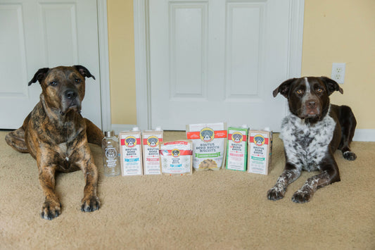 two dogs laying on the floor on either side of brutus bone broth products