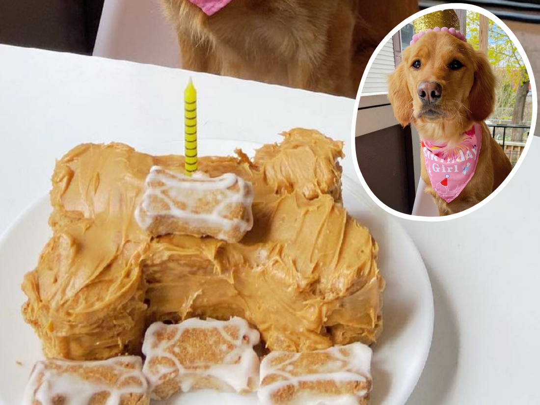 Peanut Butter Bone Broth-Day Cake for Dogs