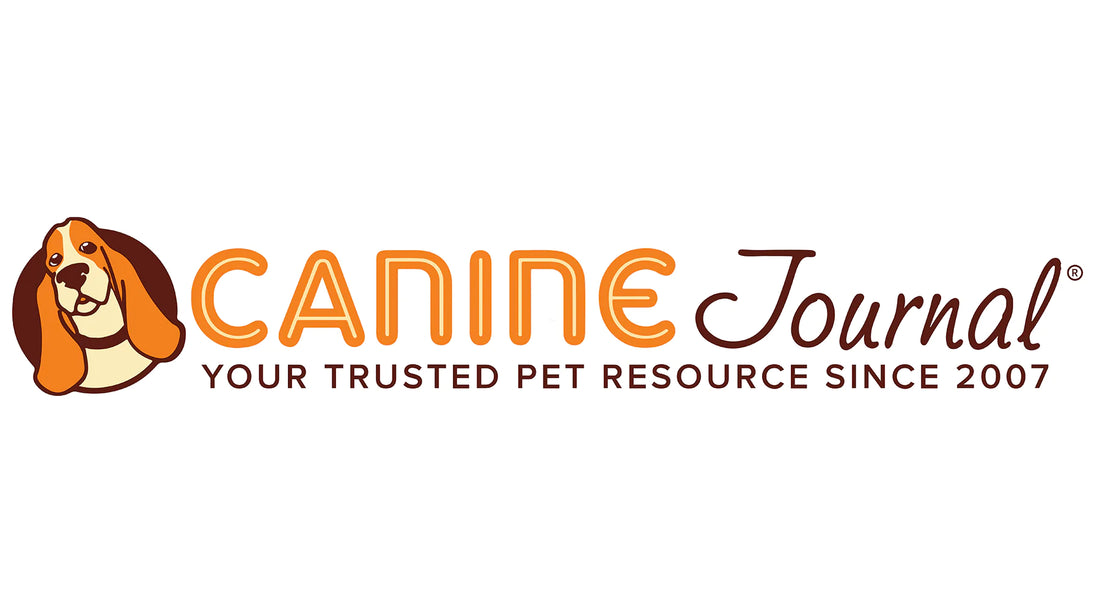 Brutus Bone Broth is a top pick by CanineJournal.com