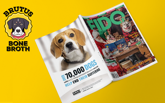 In the Press: Brutus Broth is Featured in Fido Friendly Magazine!