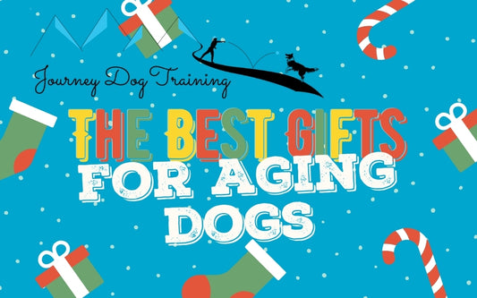 Journey Dog Training: The Best Gifts for Aging Dogs